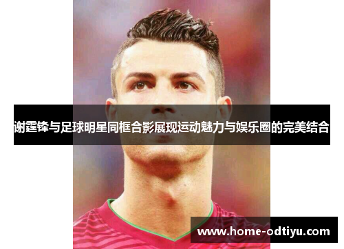 谢霆锋与足球明星同框合影展现运动魅力与娱乐圈的完美结合