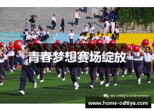 青春梦想赛场绽放